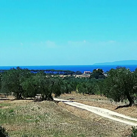 Casetta Olga * Carbonifera